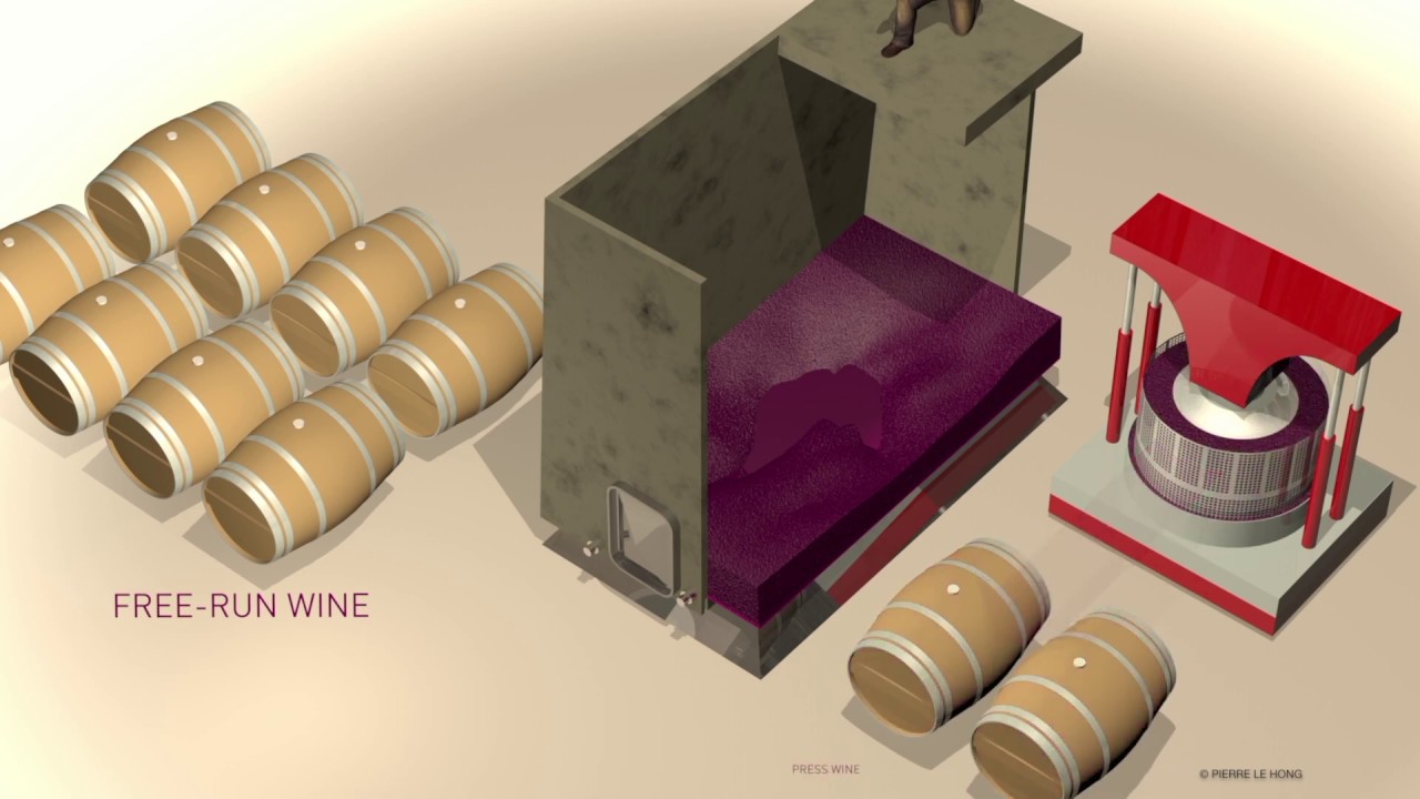 Ch&acirc;teau Lafon-Rochet, Grand Cru Class&eacute; en 1855, Saint-Est&egrave;phe