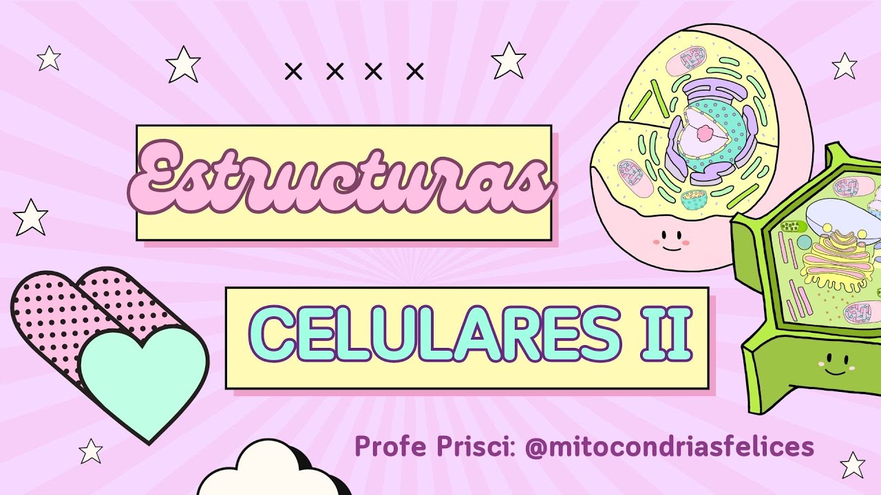 Estructuras Celulares II (Organelos y complejos)