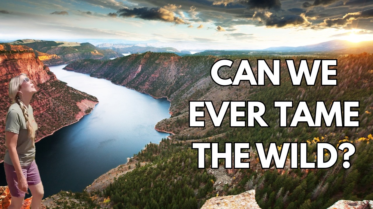 Flaming Gorge: The Question that Won't Go Away