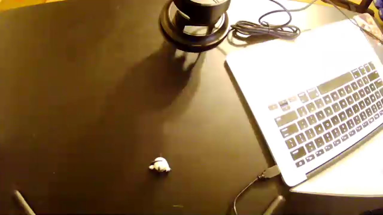 ASMR Stream 6 (this time it's e-pookie)