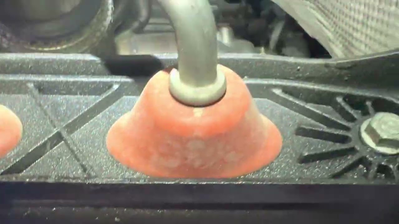 How to check for an oil leak on a Volkswagen Passat