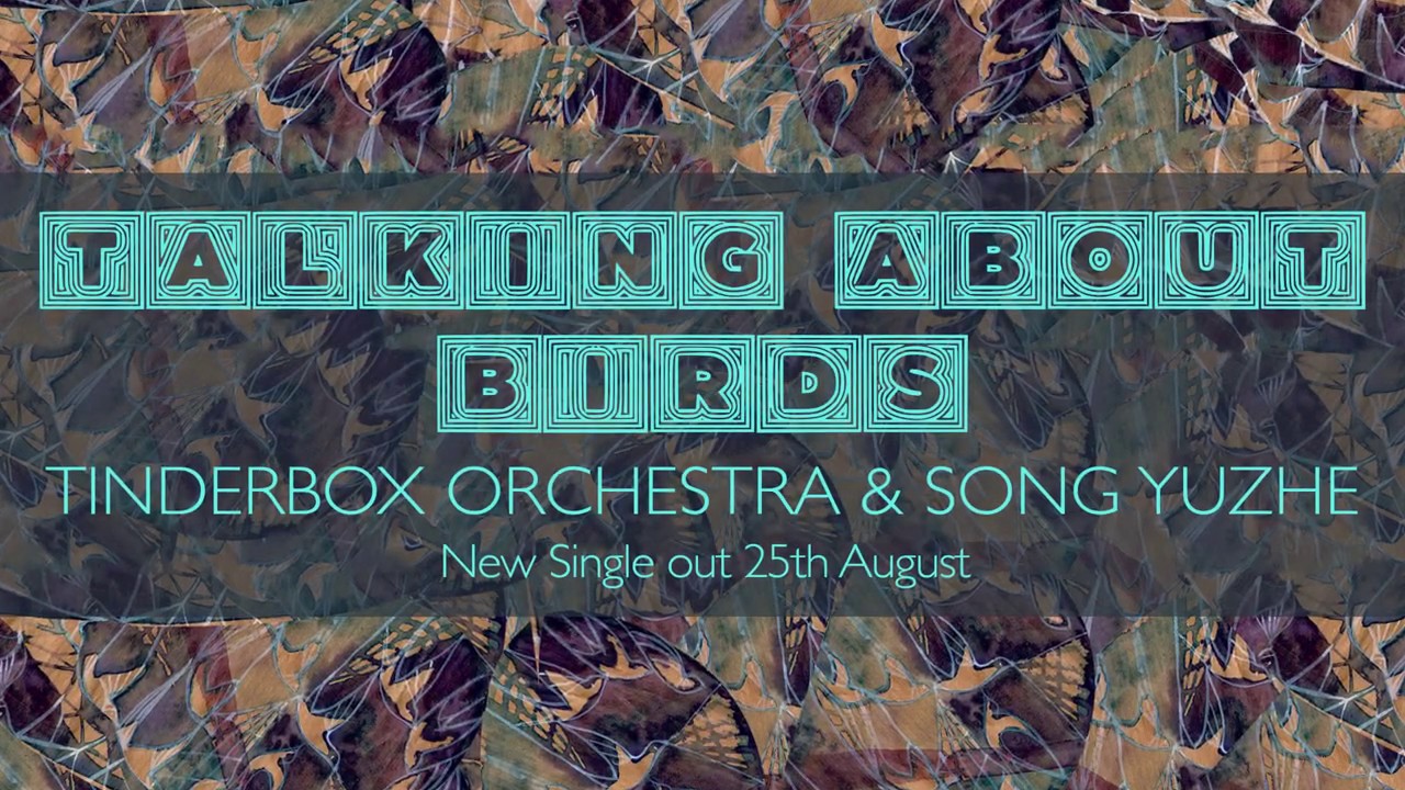 Tinderbox and Song Yuzhe: Talking About Birds Single