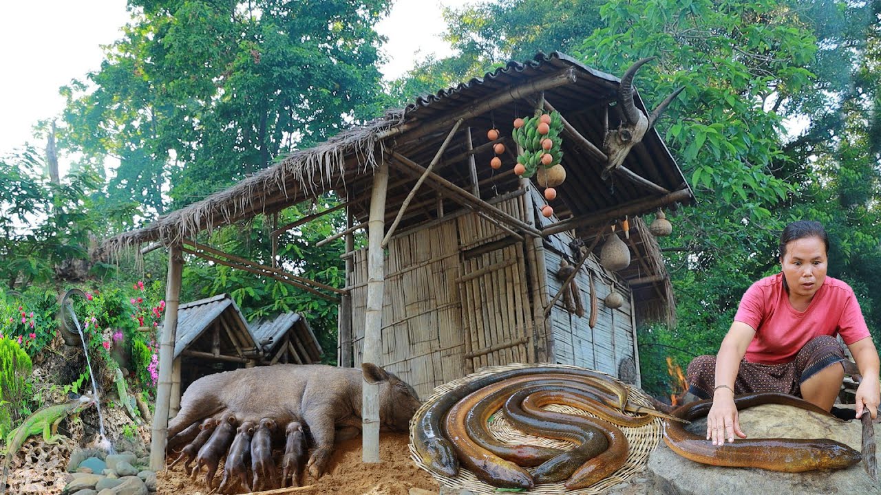 survival in the rainforest- found flower in forest for cook with big eel -Eating delicious HD