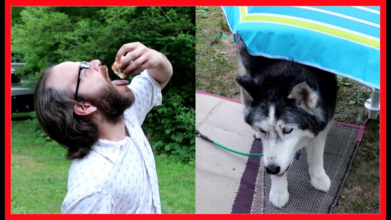 HAPPY CAMPING DOGS AND GIANT MARSHMALLOWS | 07/12/16