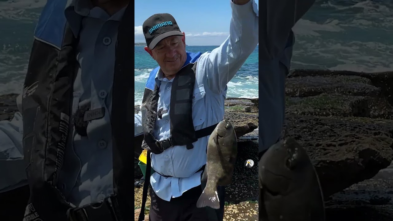 Rock Fishing with a FLOAT - catch delicious eating fish + have FUN!