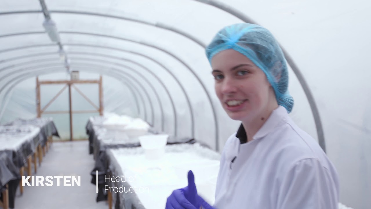 Churchfields Saltworks - Happerley Insights