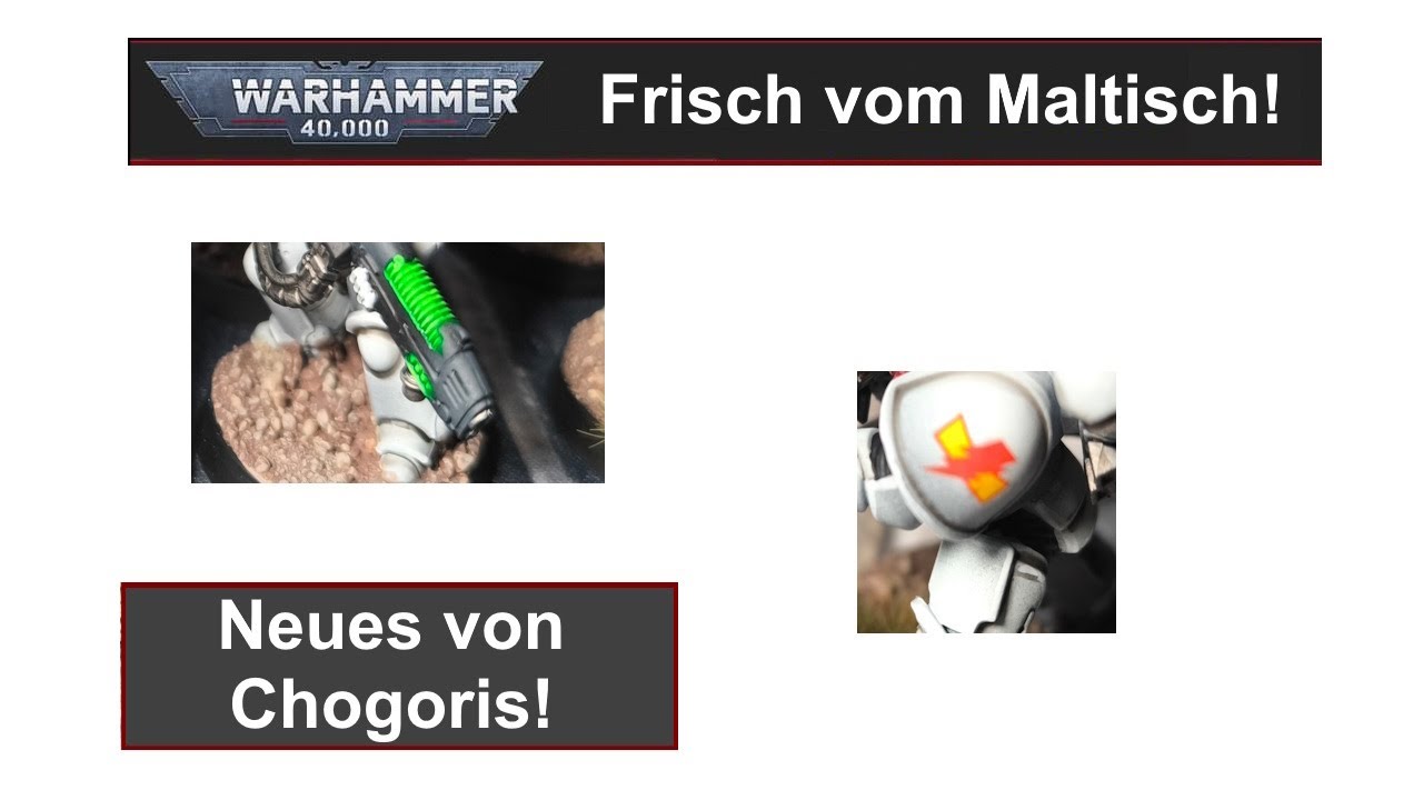 Frisch vom Maltisch: neue White Scars bemalt!