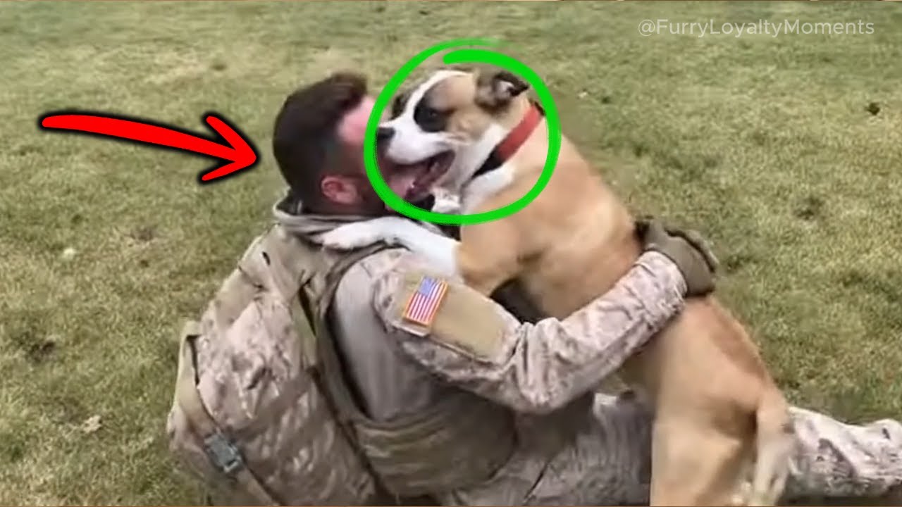 😭 Soldier Comes Home in the Rain — Dog Knows Instantly 🐕