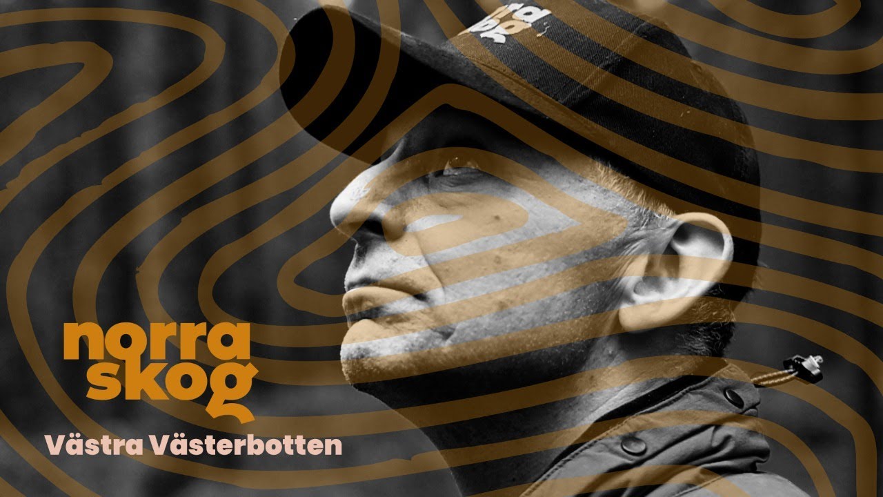 Digital Skogskväll VO Västra Västerbotten