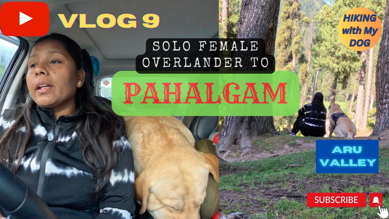 VLOG 9| SOLO CAR CAMPING IN PAHALGAM| HIKING WITH MY DOG IN ARU VALLEY Part - 1 #jammukashmir
