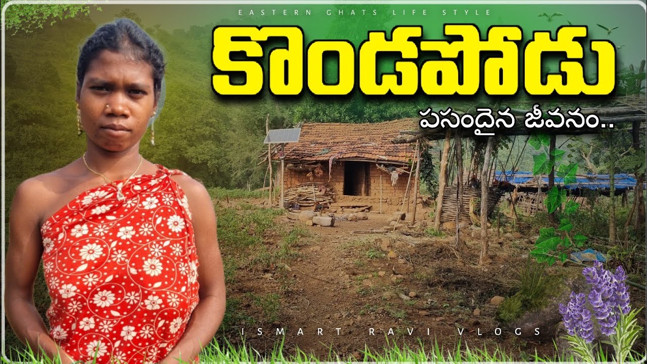 Tribals Home Located in dense forest || natural lifes on hills || #villages
