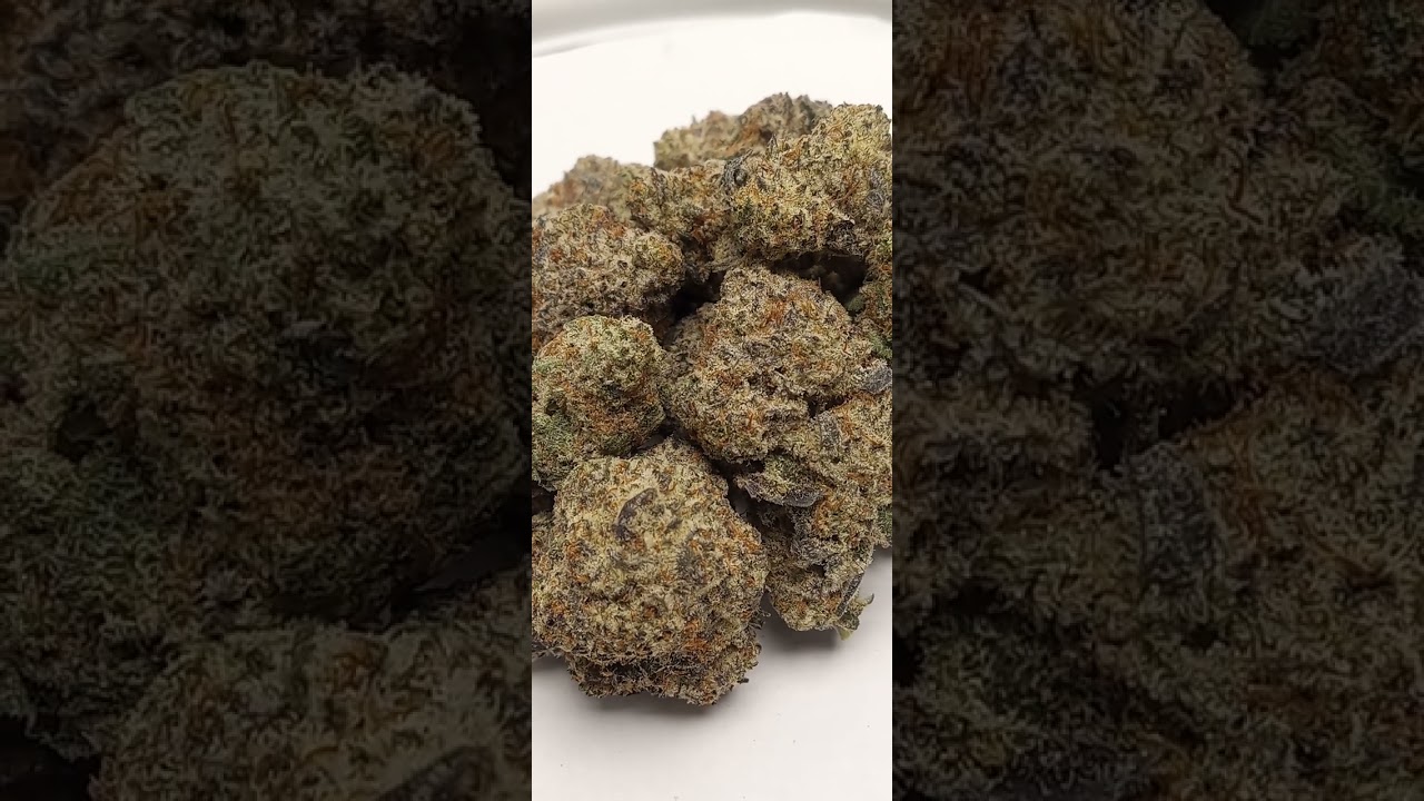 Rainbow Belts Cannabis strain review/W Dr. Greenbody
