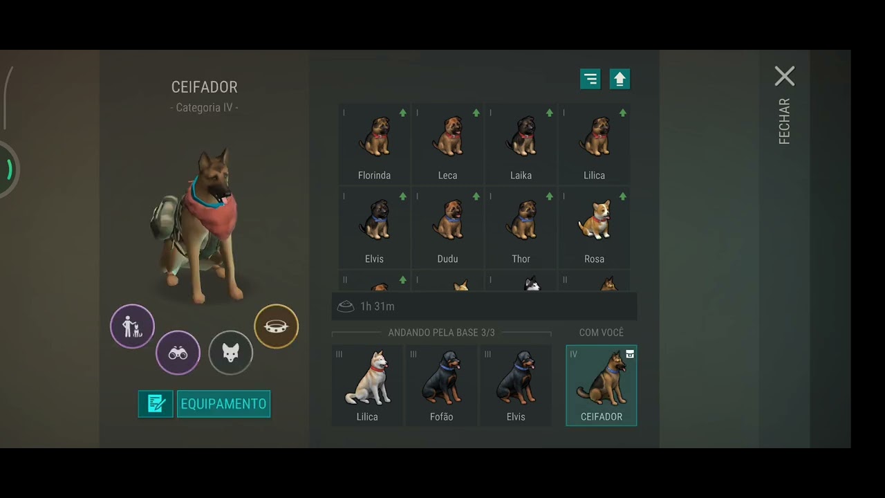 BASE RAID 