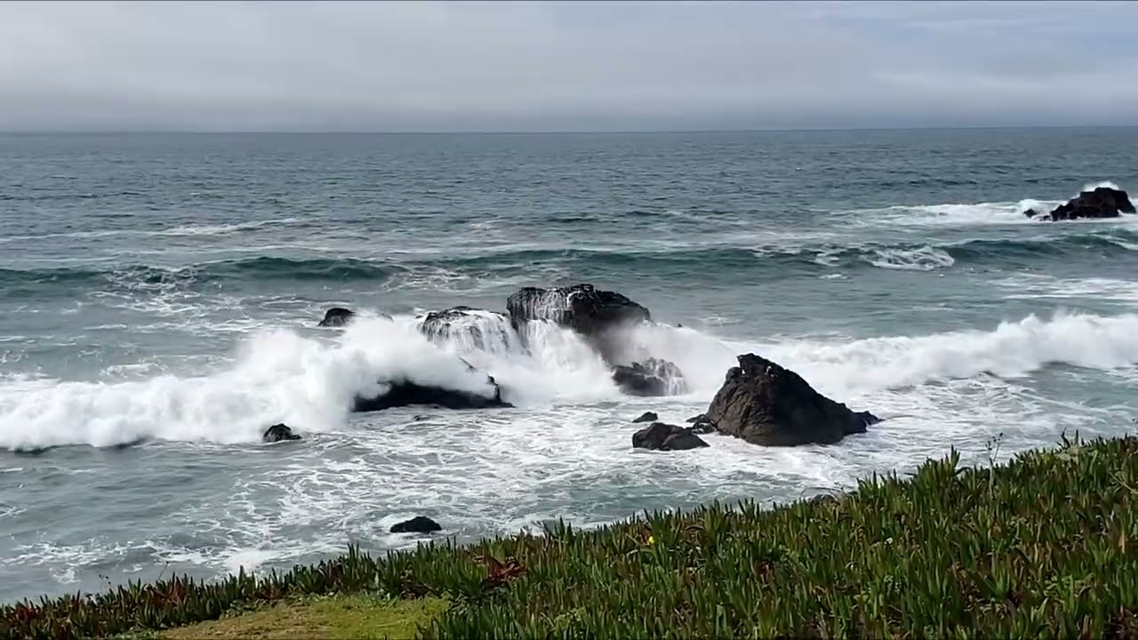 2026 Sonoma Coast in February