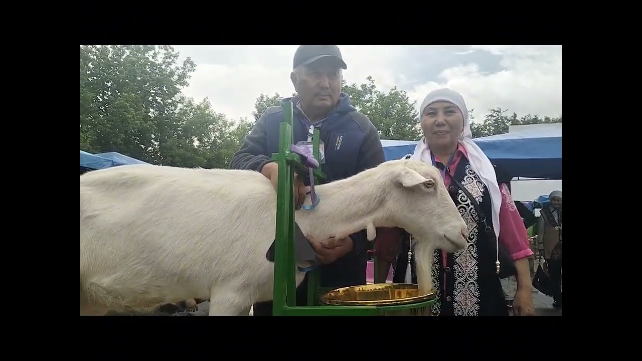 Ешкі көрмесі