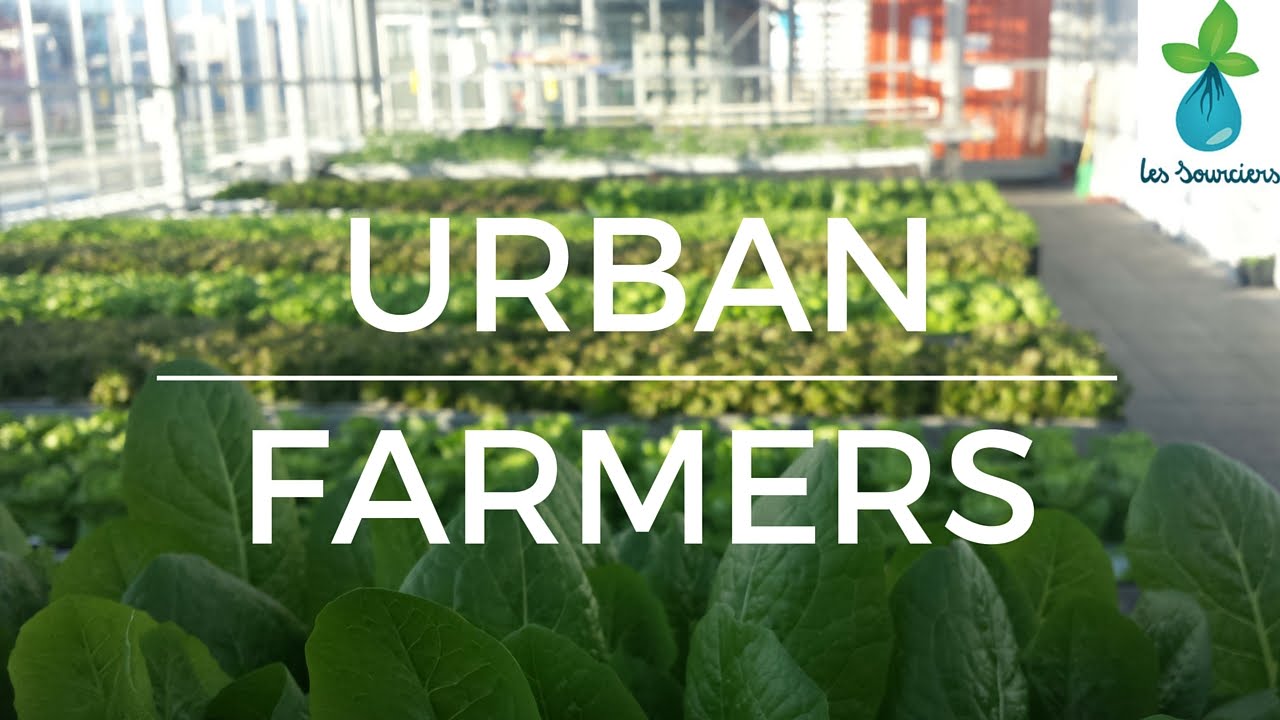 Urban Farmers - l'hydroponie en Suisse - HWT #01