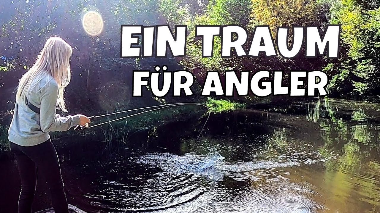 Privater Forellenteich | 50+ Lachsforellen mit Spin Mad und Wurm | Angelteiche erklärt | Vlog #92
