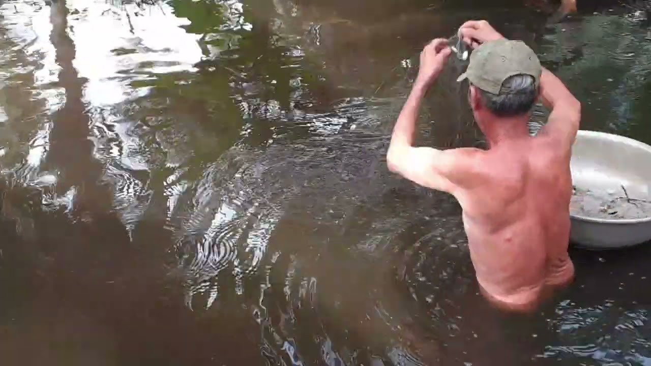 4K NTĐ - Thăm Lưới Cá Rô Phi 28-08-2025