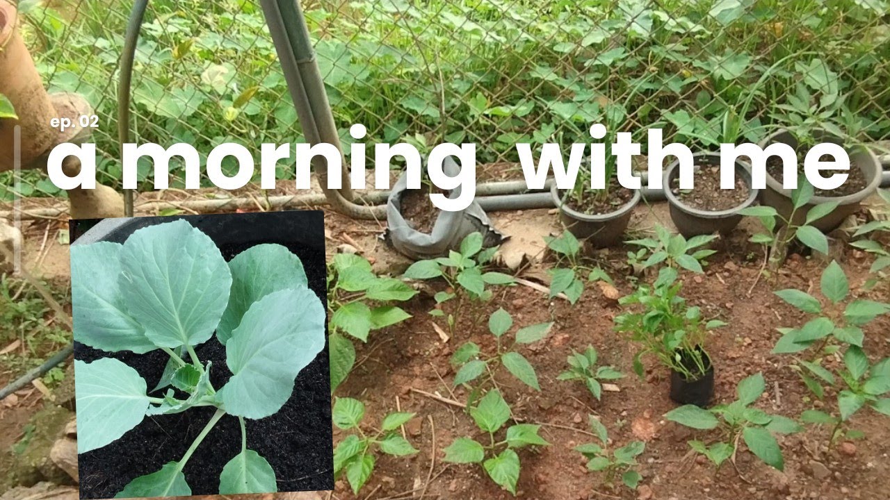 ආසම වැඩ එක්ක ගෙවුනු උදේ වරුවක්|morning routine| #srilanka #trending  #motivation @Ridhisdailydose 