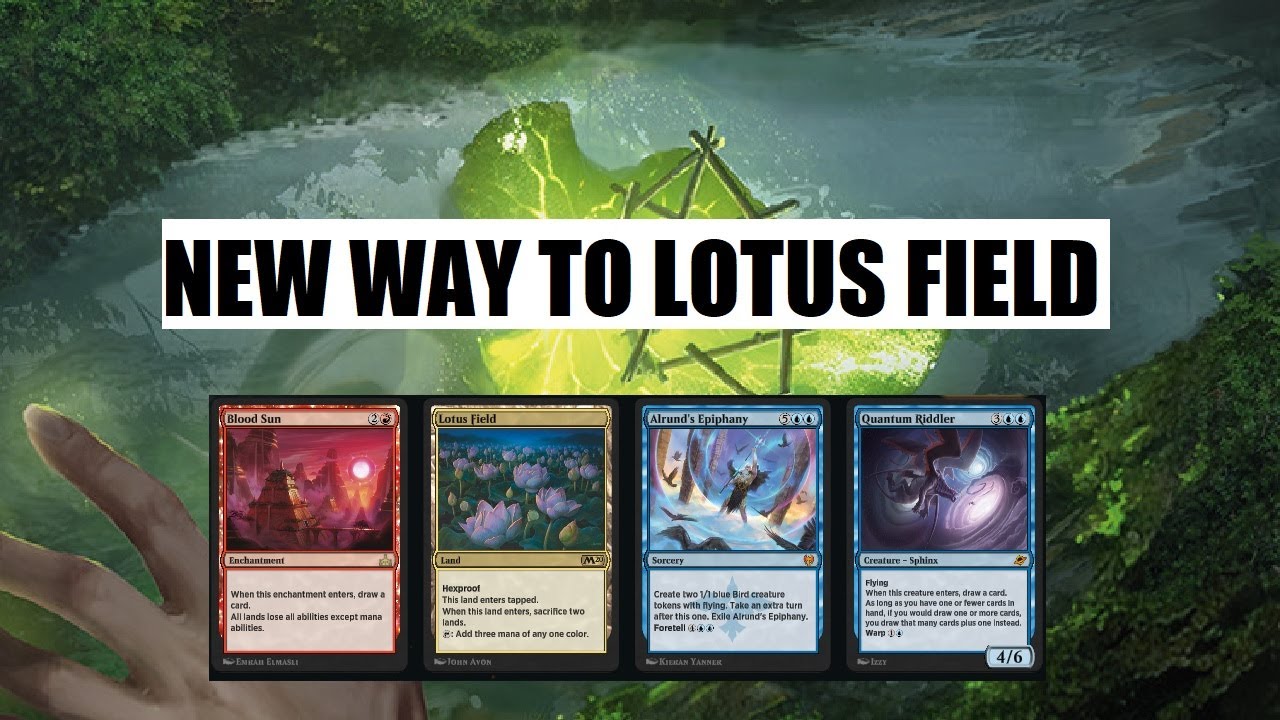 NEW BREW ALERT - Lotus Field Taking Turns - Arena Pioneer