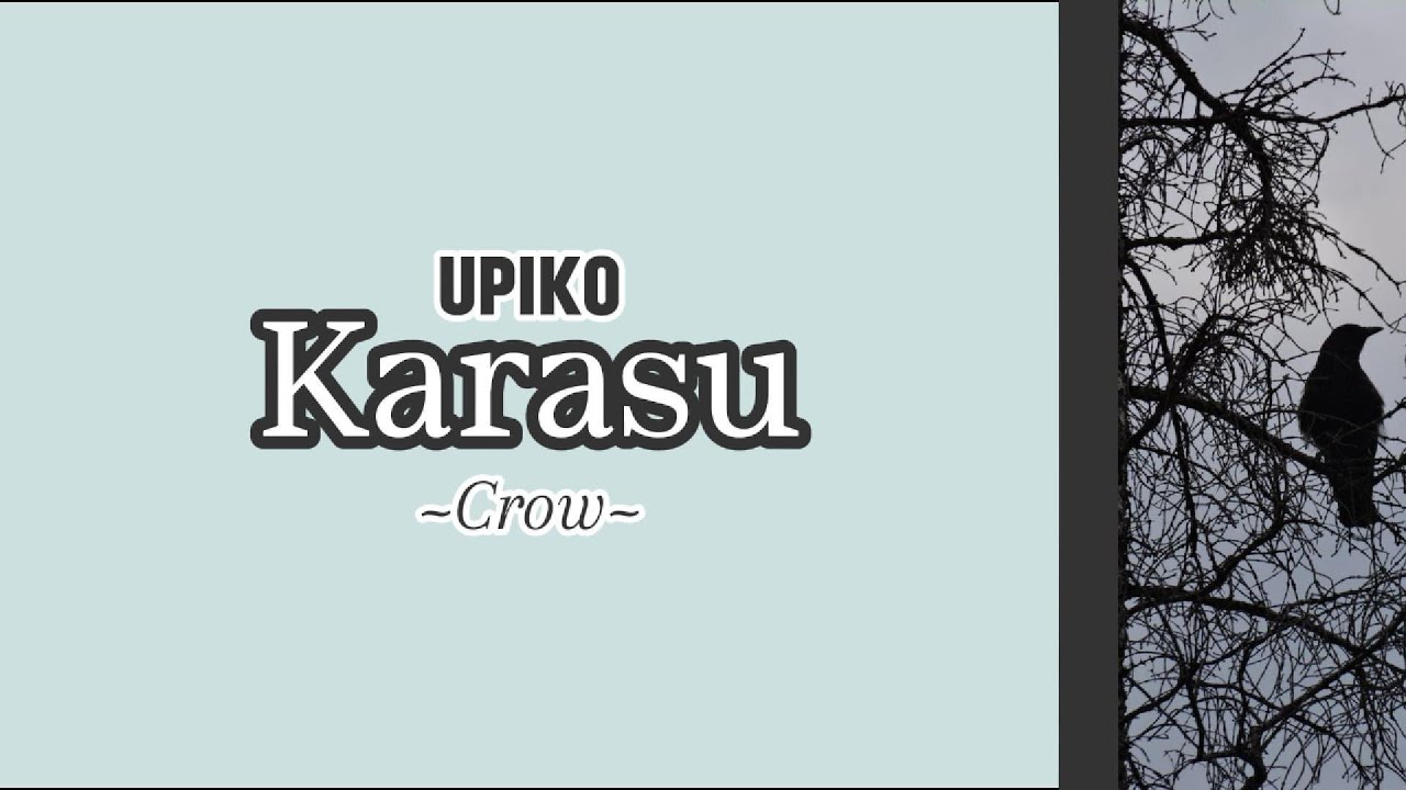 Karasu (Crow) - UPIKO + English Caption