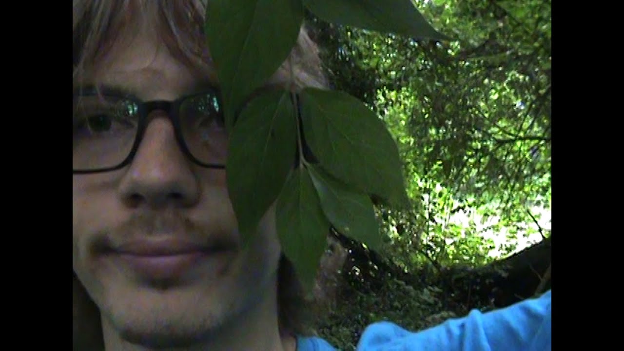 asmr ~ personal attention in nature 🌻 (brushing, stipples, whispers)