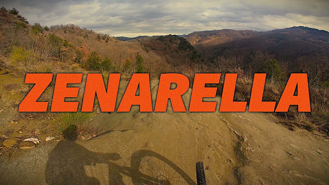 zenarella (16/2/2026)