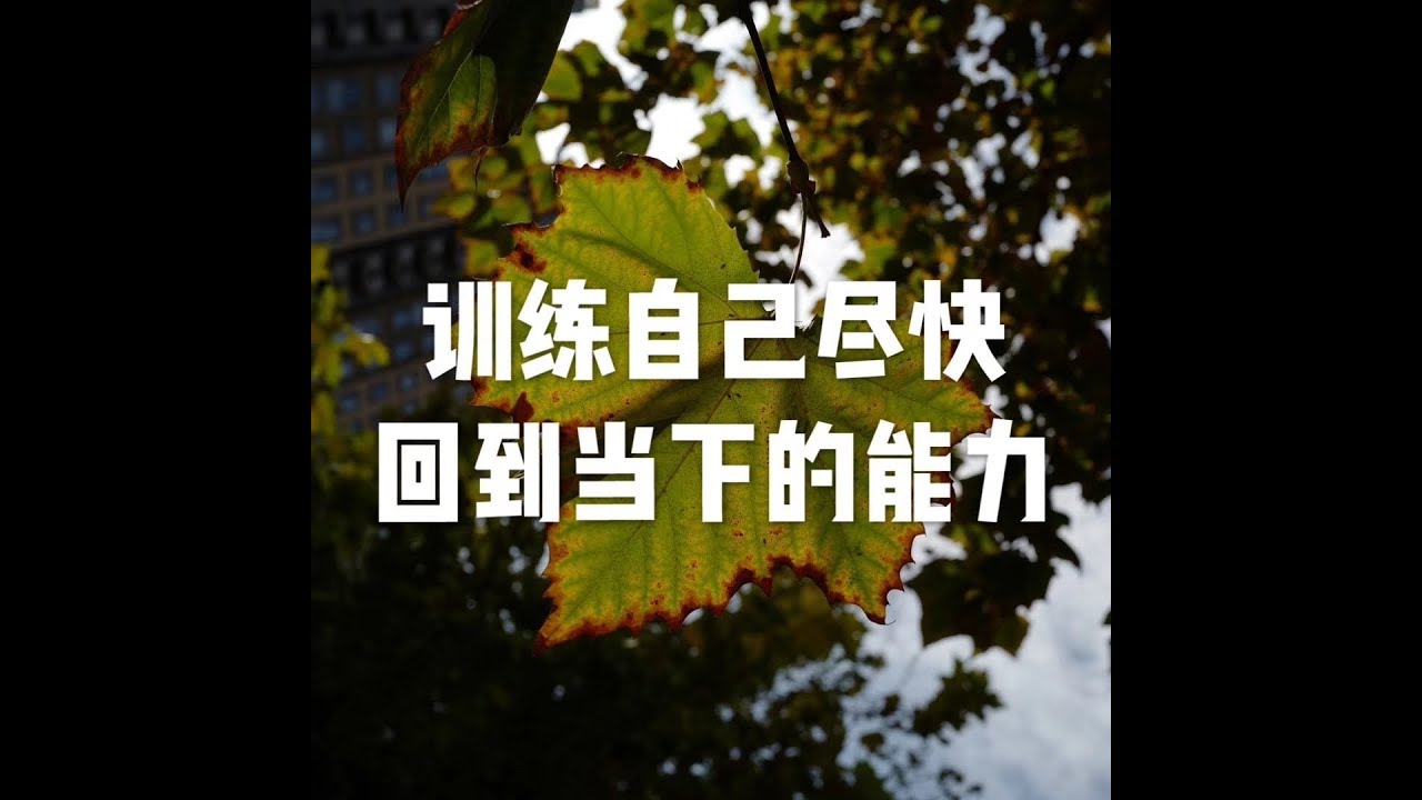 201607 训练自己尽快回到当下的能力25400