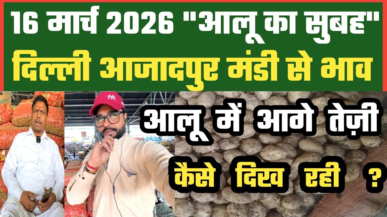 आलू में अच्छे संकेत क्या दिखे ? 🤔 Azadpur Delhi Mandi Today में 16-03-2026 के Potato Price DMT TV