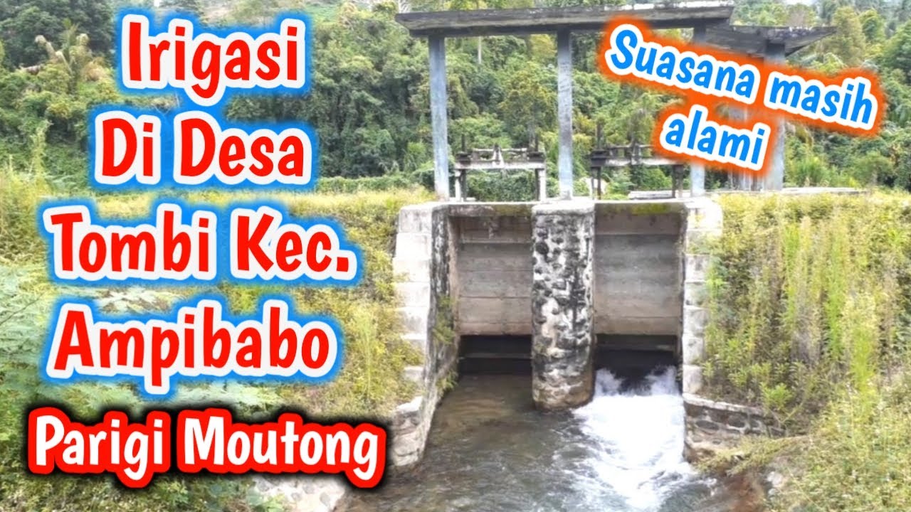 Suasana Alam Di Sungai Irigasi Ampibabo || Hutan Belantara