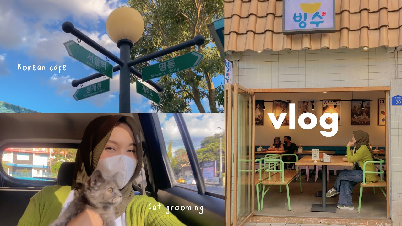VLOG : last day of ramadan, korean cafe, cat grooming 🐈🍲