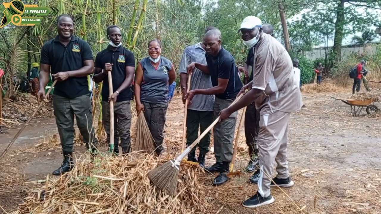 Les Wayignans de l'assainissement : nettoyage des abords du Marigot Houet