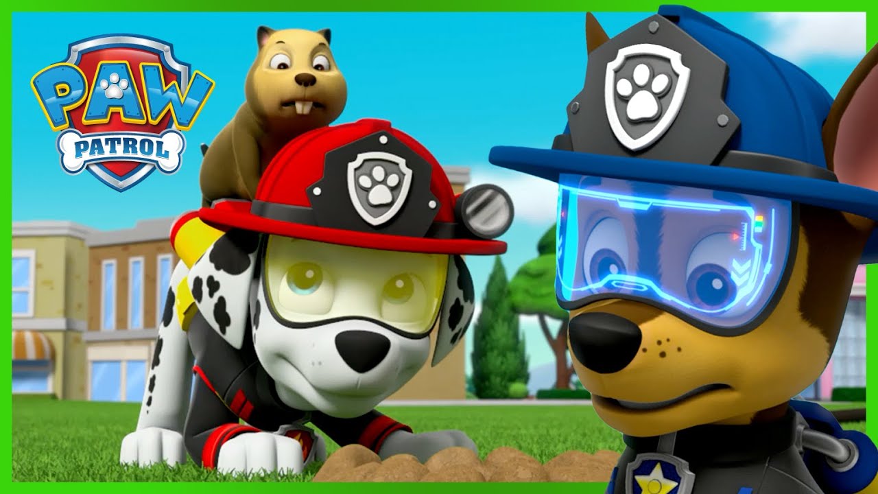 Misja ratunkowa: Marshall ratuje sytuację - Psi Patrol PAW Patrol po polsku - Pup Tales
