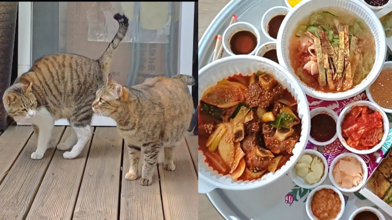 21년동안 잘 쓰던 냉장고를 보내고 새 냉장고가 들어오던 날 기분이 왜 이럴까요?ㅠ