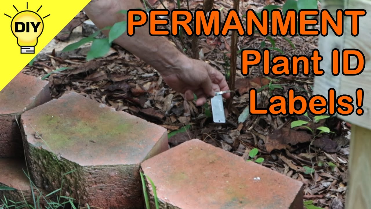 DIY Permanent Plant Labels Fade-Resistant, Engraved Garden Markers