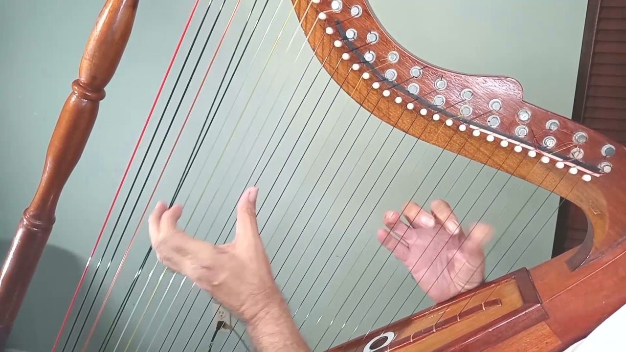 ALCARAVAN COMPAÑERO, CLASES DE ARPA #37