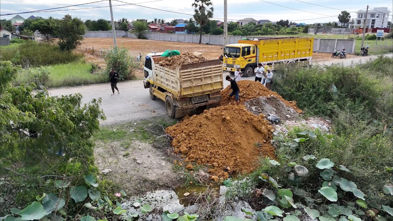 Good job!! Skilled Operation Action! Using Komatsu D20p Dozer and 5T Dump Trucks fill flooded land.