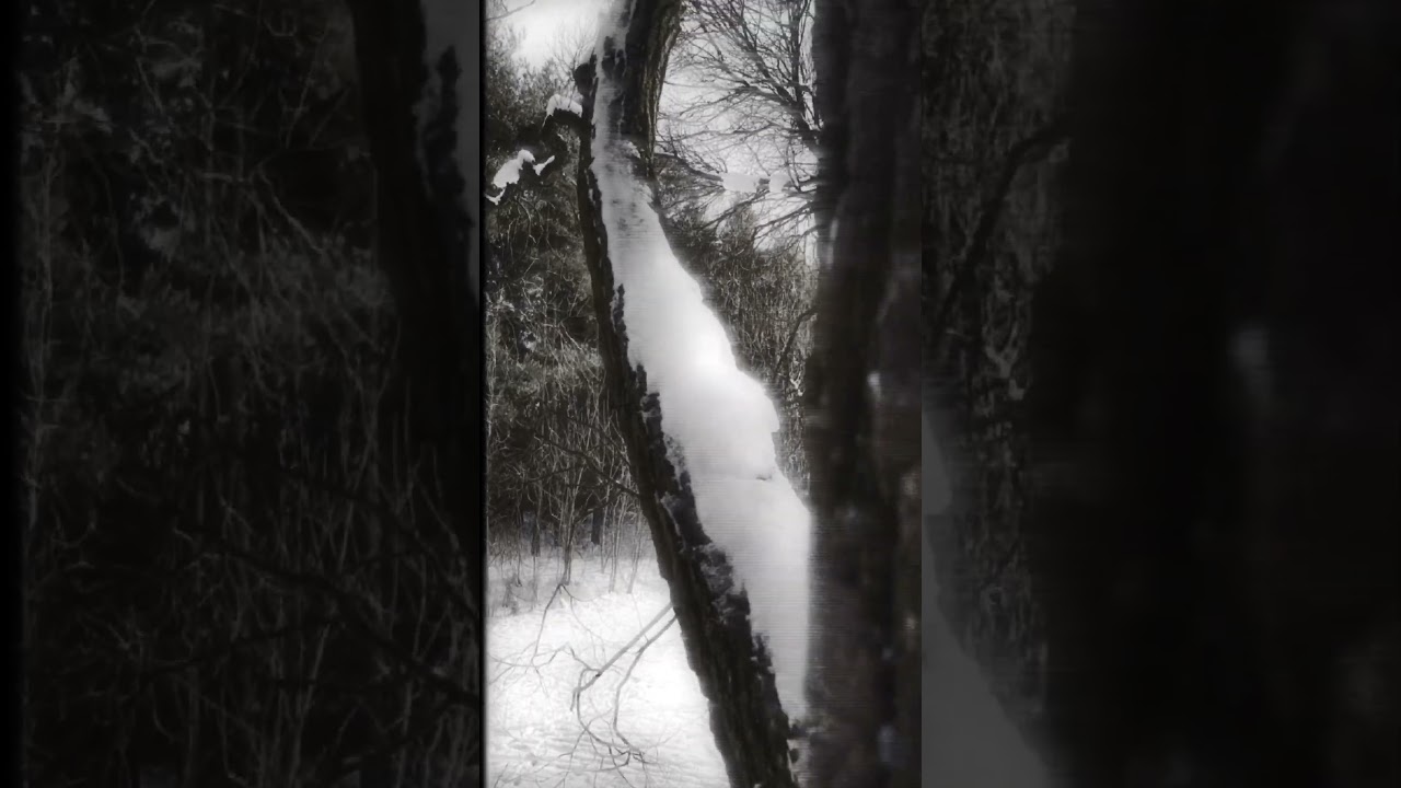 kzkt - Кø ceρдцу бøлеzn' #music #darkfantasymusic #ambient #witchcore #darkcore #neofolk