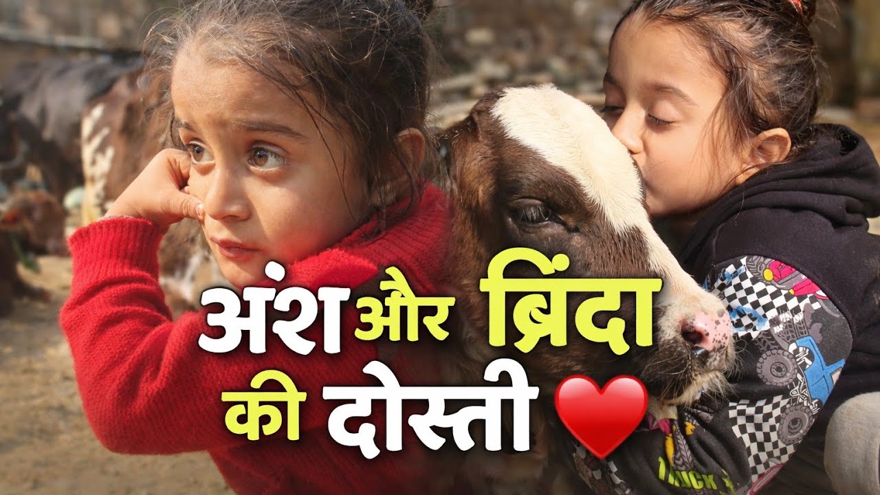 Ansh Aur Brinda Ki Dosti❤️| Bacchon Aur Janwar Ki Pyari Kahani |Friendship#rishirtpvlogs #dailyvlog 
