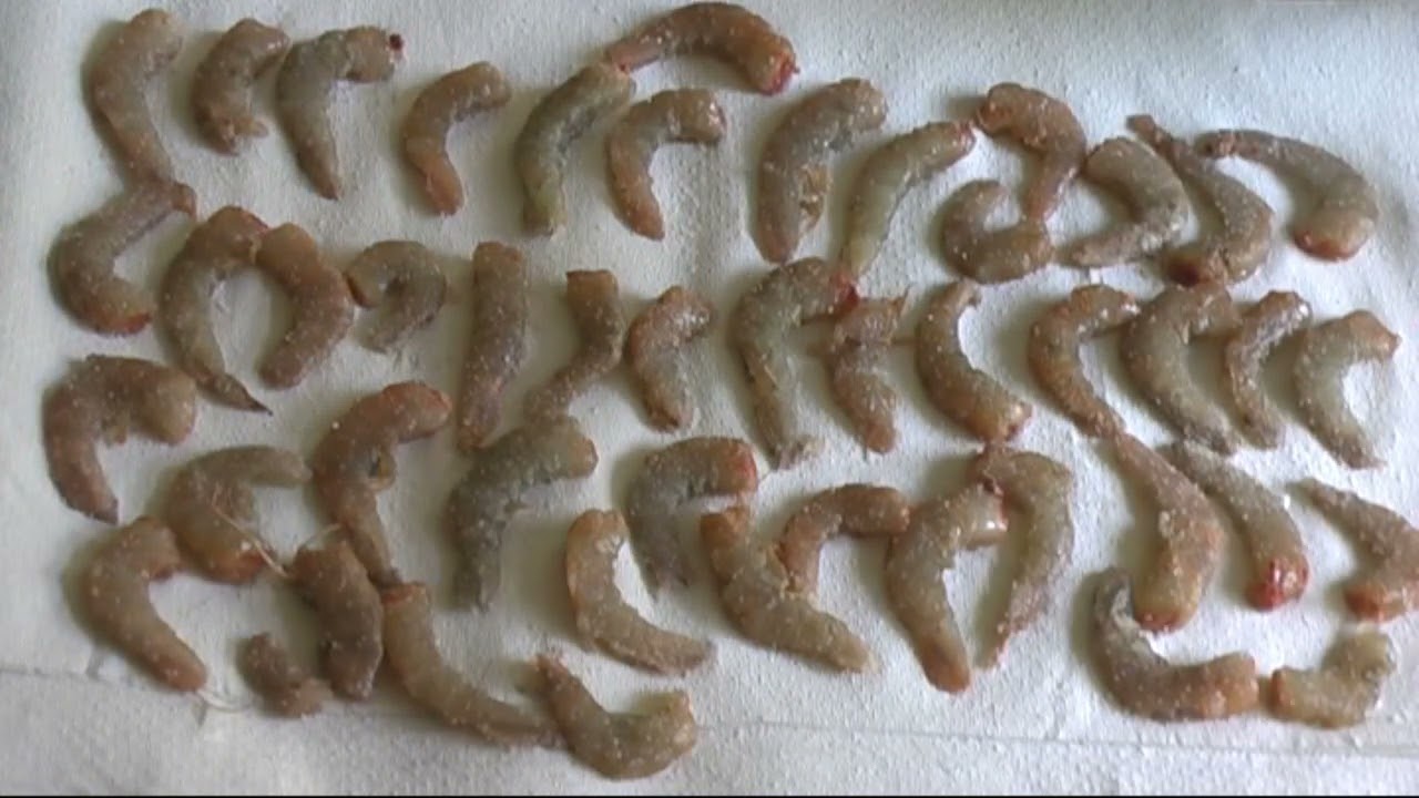 DESHIDRATADO y PREPARADO de CAMARON