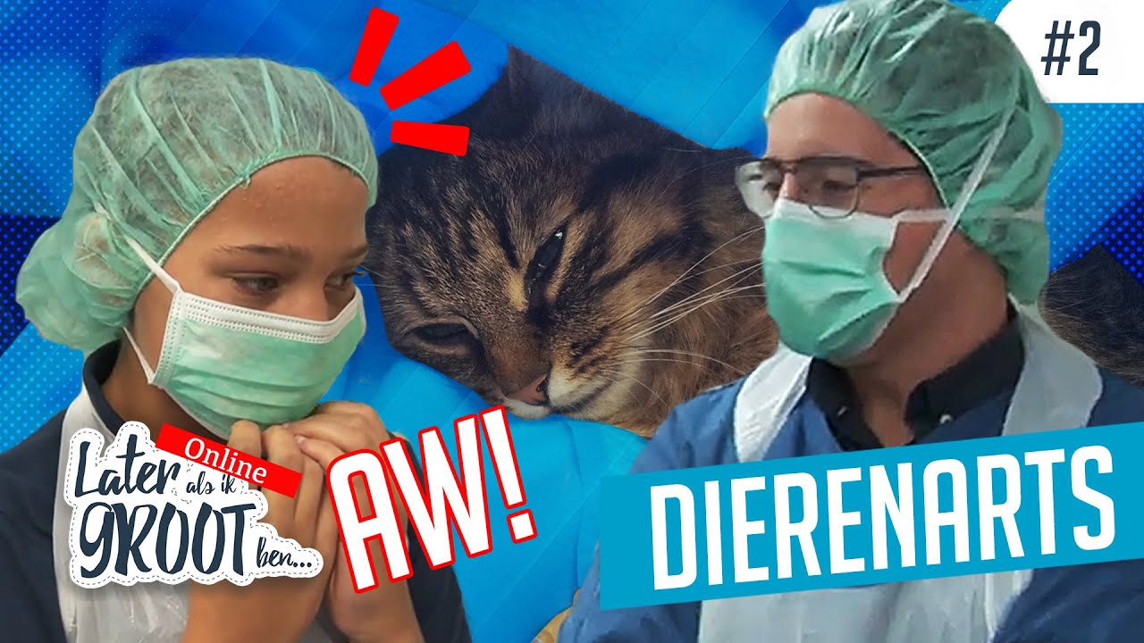 DIERENARTS worden | Robynn (12) aan de OPERATIETAFEL