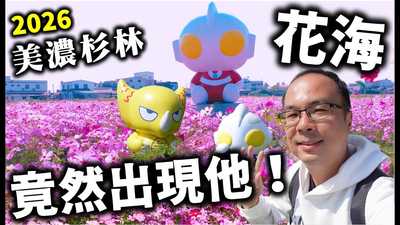 2026高雄花海｜美濃花海・杉林花海＋超人力霸王～高雄花海變成親子景點？超人力霸王現身花田