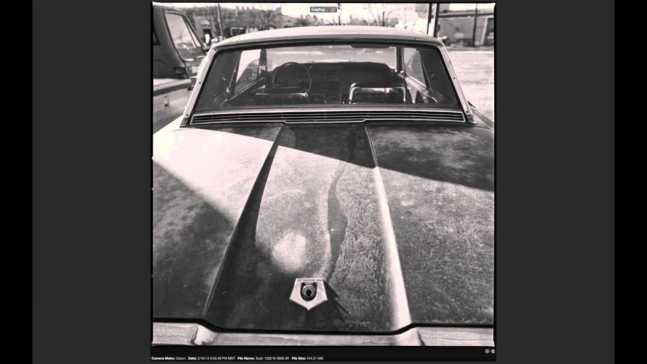 Out Shooting with a Hasselblad: Part II