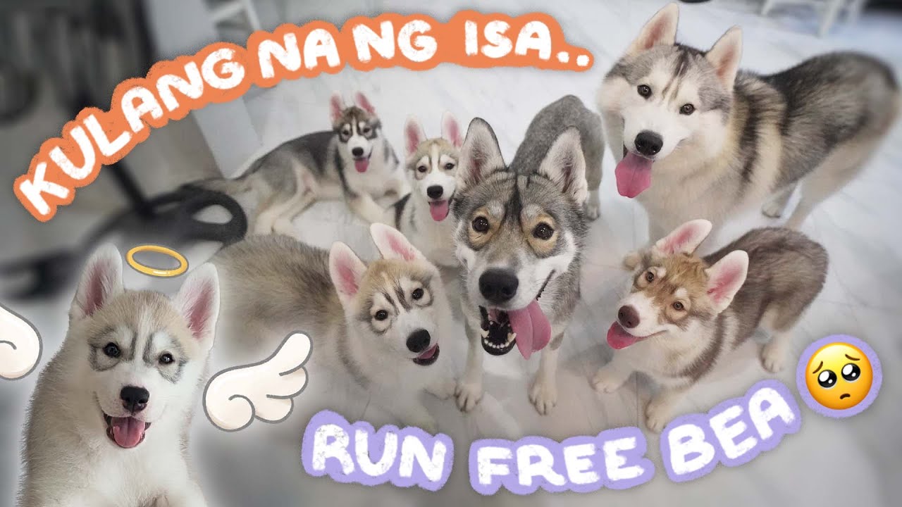 Binista ni Henri ang mga anak niya sa labas FOR THE FIRST TIME!