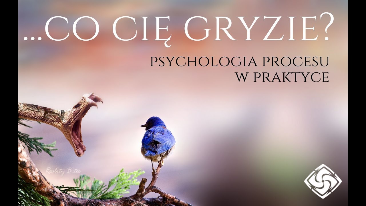 Bezpłatny warsztat online: Co Cię gryzie? Psychologia procesu w praktyce.