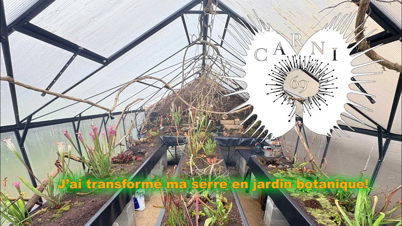 J'ai transformé ma serre en petit jardin botanique...