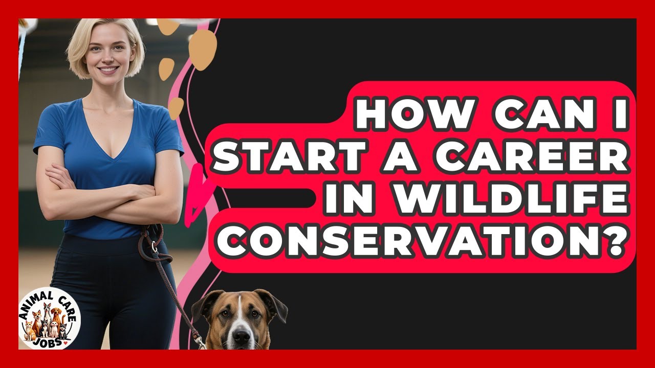 How Can I Start a Career in Wildlife Conservation? | Animal Care Jobs