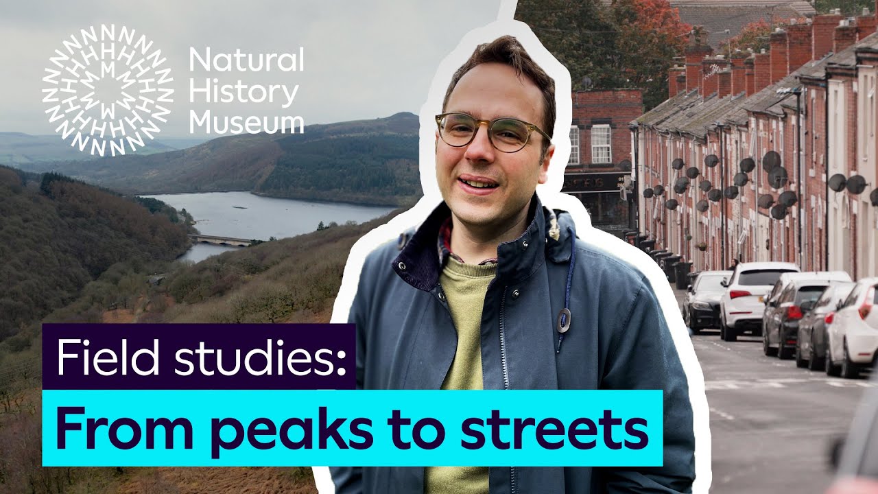 Rewilding, restoring and reconnecting with nature in Derbyshire | FULL SERIES