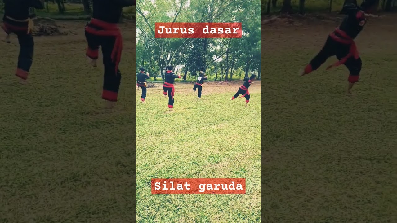 jurus dasar-Psgi #psgindonesia #silat #psgi