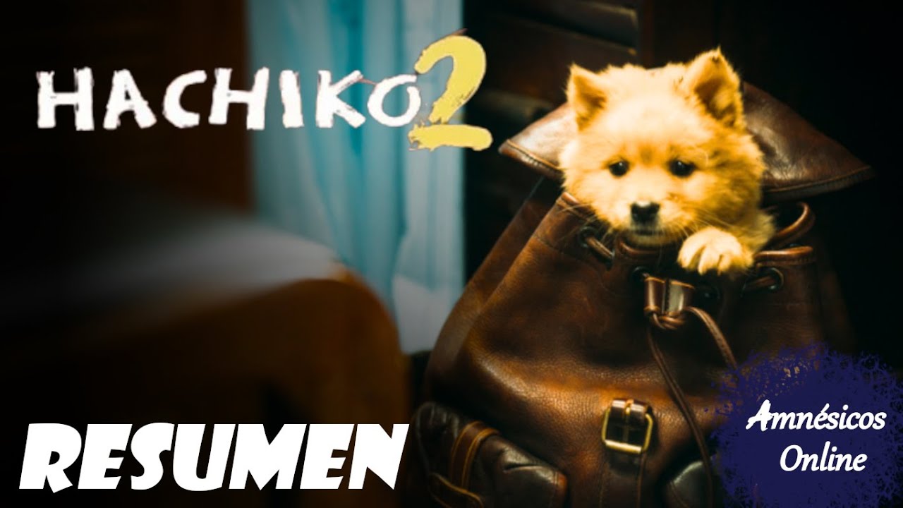 Hachiko 2 Resumen | Hachiko Una Historia Verdadera Resumen